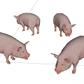 Four Pink Reptiles Foraging On Sunlit Green Grassland Habitat