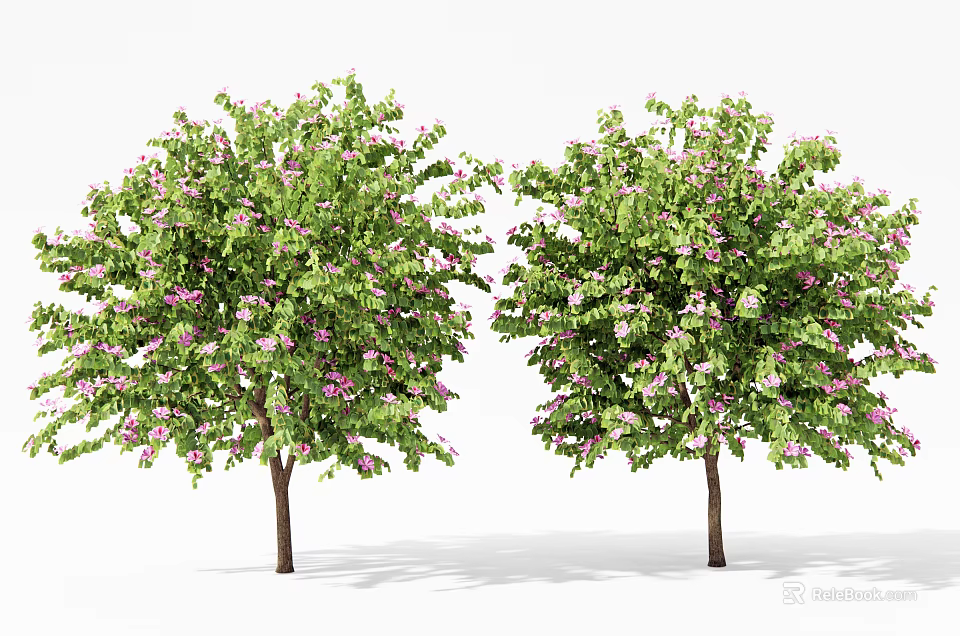 Two Lush Arbor Trees Displaying Green Leaves Pink Flowers And Brown Trunks 3d model 