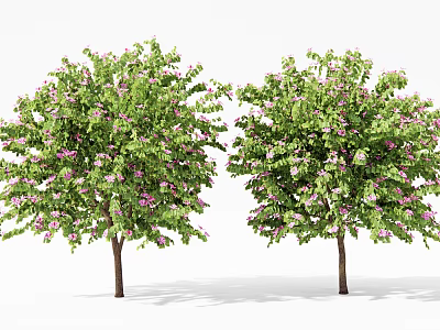 Two Lush Arbor Trees Displaying Green Leaves Pink Flowers And Brown Trunks 3d model