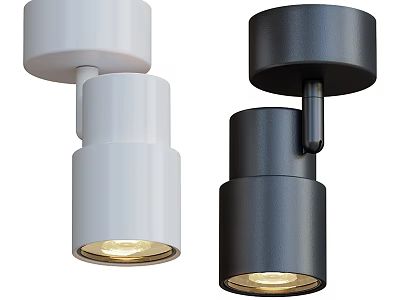 White and Black Downlights and Spotlights Modern Home Interior Lighting Fixtures 3d model