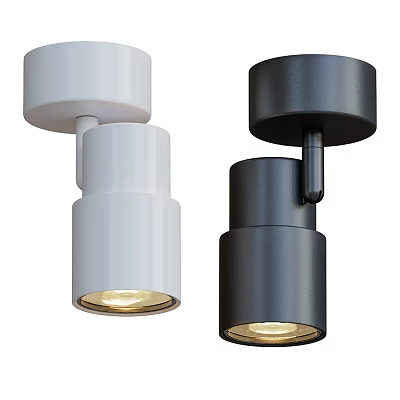 White and Black Downlights and Spotlights Modern Home Interior Lighting Fixtures 3d model