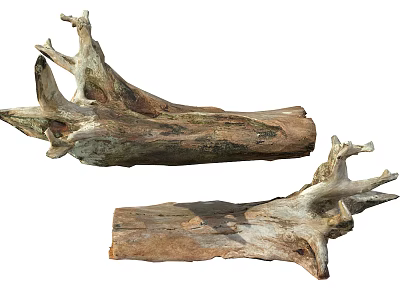 Rustic Weathered Wood and Stone Decorative Pieces with Natural Organic Texture 3d model