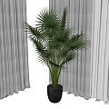 flowerpot potted trees turtle back tropical plants 3d model