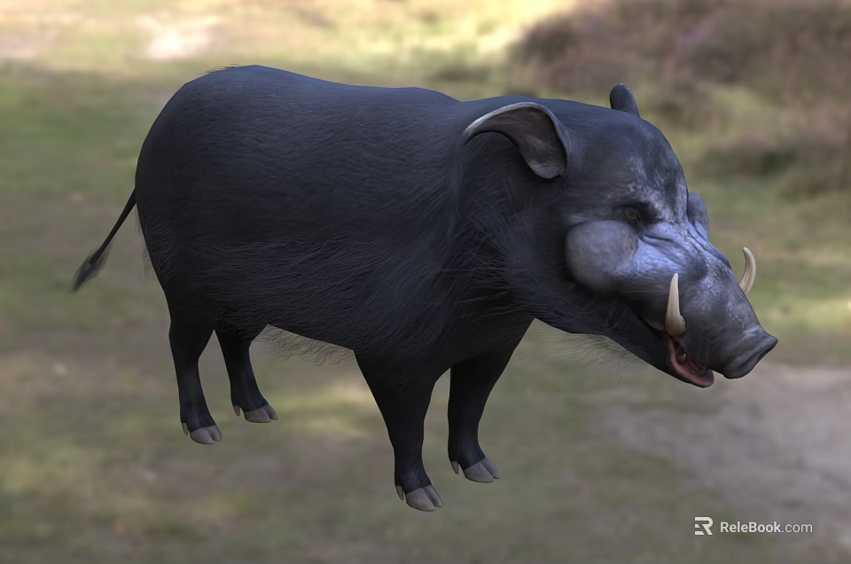 Black Wild Boar Standing In Grassy Field With Bushy Background And Tusks 3d model 