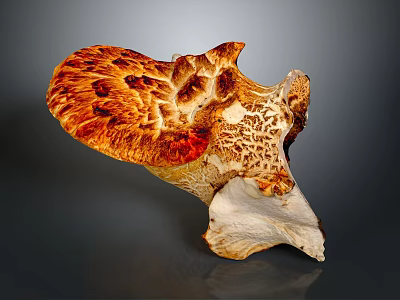 Vibrant Orange And White Mushroom With Detailed Texture And Unique Shape 3d model