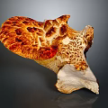 Vibrant Orange And White Mushroom With Detailed Texture And Unique Shape