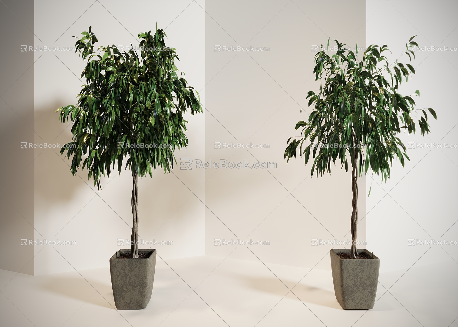 potted plant green plant 3d model