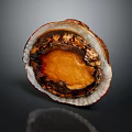 Abalone with Open Shell Showing Orange Interior and Textured Surface on Dark Background 3d model