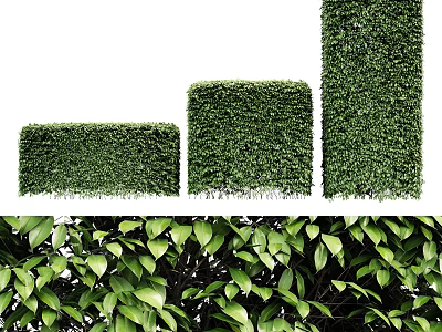 Well Trimmed Garden Shrubs With Different Shapes And Dense Green Leaves 3d model