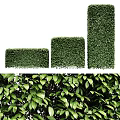 Well Trimmed Garden Shrubs With Different Shapes And Dense Green Leaves