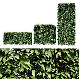 Modern shrub outdoor landscape shrub hedge combination creative road landscape greening shrub round shrub modeling 3d model