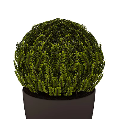 Modern potted plant potted furnishings combination 3d model