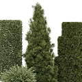 Green Plant Wall With Various Shaped Topiary Plants For Decorative Landscaping