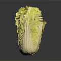 Fresh Green and Yellow Cabbage with Crisp Leaves Healthy Food Option