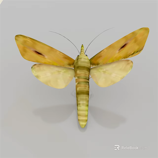 Bright Yellow Moth With Dark Spots On Wings Long Antennae And Striped Body 3d model 