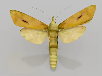 Bright Yellow Moth With Dark Spots On Wings Long Antennae And Striped Body 3d model