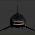 Realistic Shark 3D Model Featuring Sharp Fins Gray Blue Color and Detailed Texture