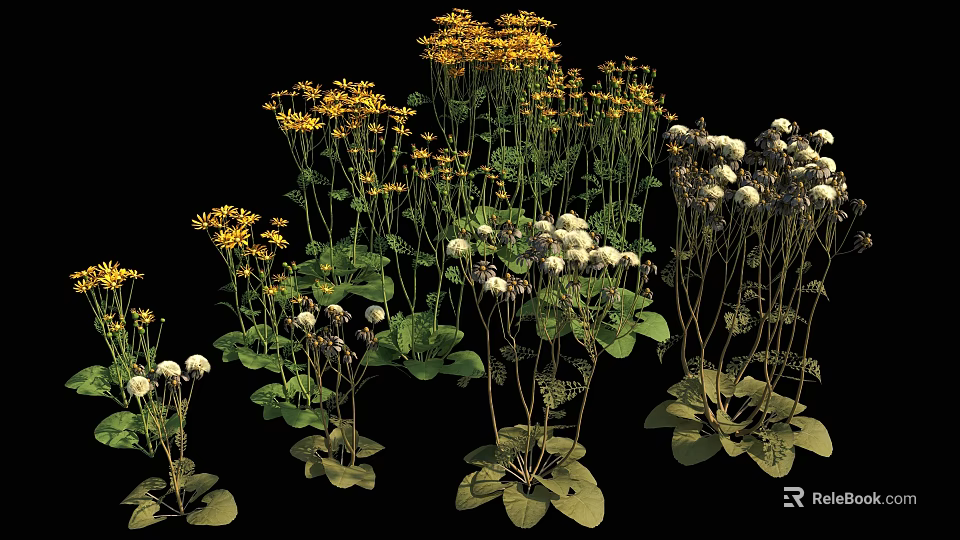 Decorative Yellow And White Flowers With Green Leaves In Various Herb Plant Species 3d model 