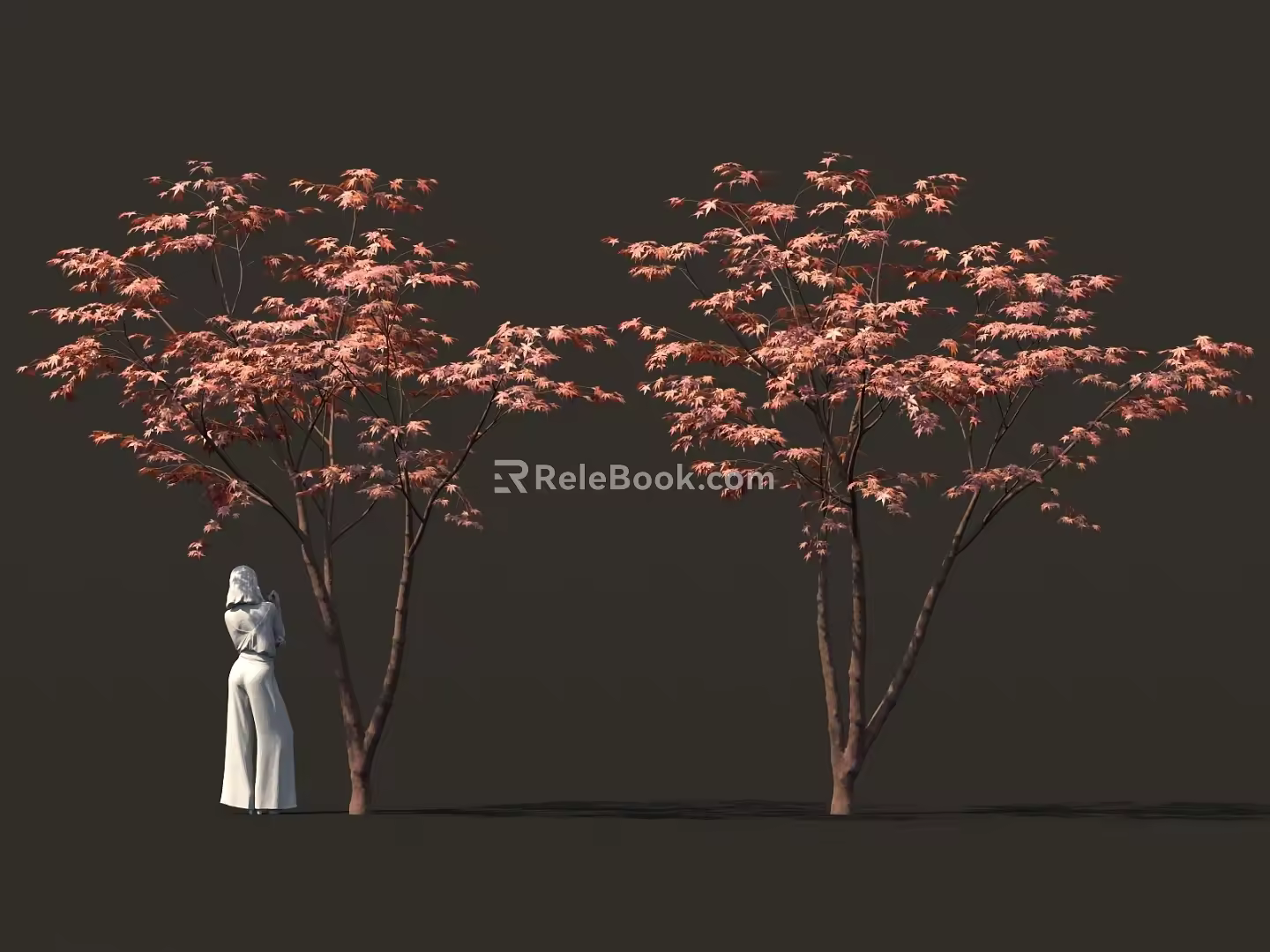 Chinese red maple tree sycamore tree maple tree 3d model