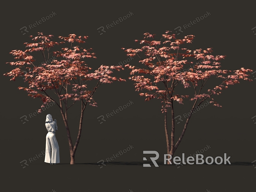 Chinese red maple tree sycamore tree maple tree model