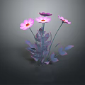 Four Pink Flowers With Yellow Centers And Purple Leaves On Stems Against Dark Background