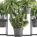 Indoor Potted Greenery With Various Plants On Metal Stands And Gray Pots