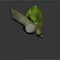 Green Caterpillar Lying On Natural Branch With White Accents And Details