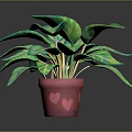Vibrant Green Potted Plant With Light Green Leaves In Red Decorative Pot