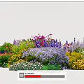 Colorful Flower Garden Bed With Various Vibrant Blooms And Green Plants
