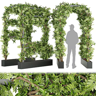 Modern Plant Wall 3d model