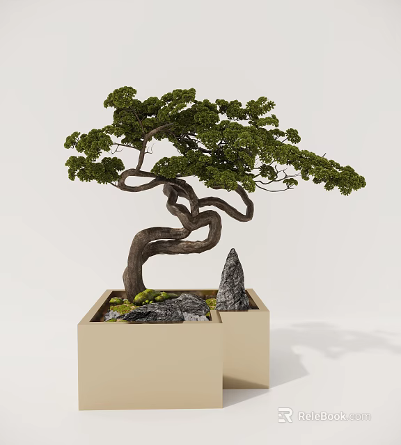 Bonsai Tree with Curved Trunk Lush Green Foliage in Square Pot with Stones and Moss 3d model 