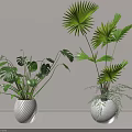 Potted Plants with Monstera and Palm Leaves in White Striped Pots for Minimalist Indoor Decor