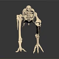 Detailed Avian Skeleton Organ Structure With Long Neck Slender Legs And Claws On Dark Background