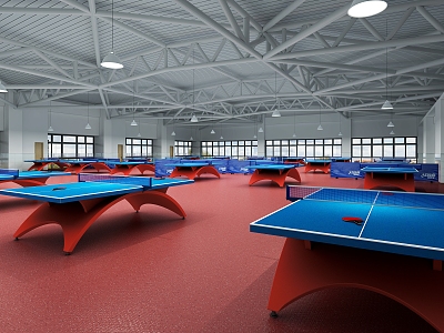 table tennis stadium model