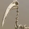 Close Up View Of Bird Skeleton With Long Beak And Vertebrae Structure