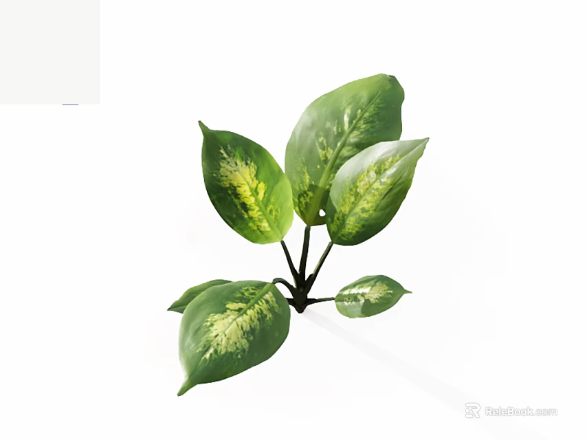 Fresh Green Plant With Vibrant Green Leaves And Yellow Spots 3d model 