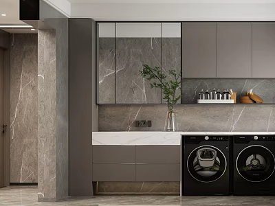 Modern Dining And Living Room With Gray Cabinets Marble Walls Mirror And Green Plant 3d model