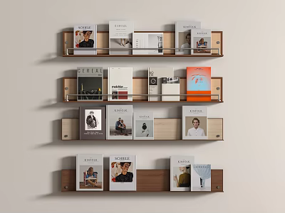 Books And Magazines Neatly Arranged On Wooden Shelves With Various Cover 3d model