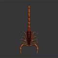 Detailed Vibrant Orange and Red Scorpion on Gray Background with Reflection