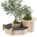 Modern Wooden Plant Decor With Black Circular Platforms And Potted Trees