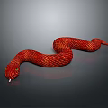 Vibrant Red Patterned Snake Curved On Dark Gray Background With Yellow Eyes