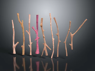 Wooden And Stone Decorative Branches In Various Colors Natural Shapes With Reflections On Black Background 3d model