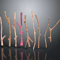 Wooden And Stone Decorative Branches In Various Colors Natural Shapes With Reflections On Black Background