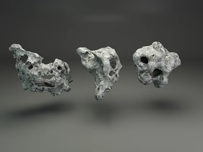 Irregular Shaped Stone Wood With Rough Surface And Holes Floating On Grey Background 3d model