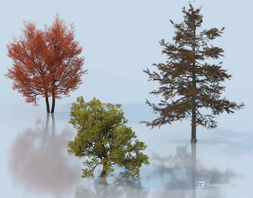 Colorful Different Types Trees With Red Green Brown Foliage And Reflections On Water Surface 3d model 