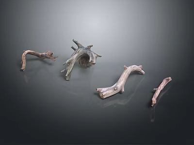 Natural Wood Decorative Pieces With Unique Branch Shapes For Rustic Home Decoration 3d model
