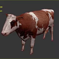 Brown And White Cow Standing On Dark Background With Natural Color Pattern