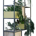 Garden Decorative Shelf With Multi Tiered Design Assorted Green Plants And Decorative Items