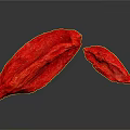 Fresh Dried Red Goji Berries Close Up View as Natural Healthy Superfood Snack