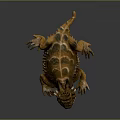 Detailed Brown And Orange Spotted Lizard With Horned Head On Dark Background
